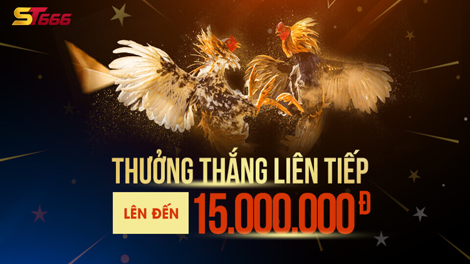 Đá Gà Trực Tuyến - Hướng Dẫn Chi Tiết Cách Đặt Cược Tại ST666 2 Phần mềm hack đá gà trực tuyến ST666