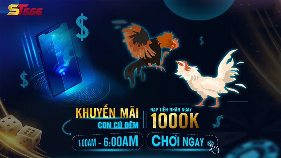 Đá Gà Trực Tuyến - Hướng Dẫn Chi Tiết Cách Đặt Cược Tại ST666 3 Đá gà trực tiếp thomo ST666