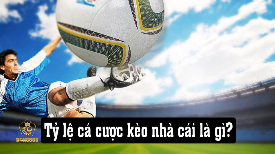 Hướng Dẫn Đọc Tỷ Lệ Cá Cược Kèo Nhà Cái Tại ST666 1 Tỷ lệ kèo tỷ lệ cá cược kèo nhà cái st666