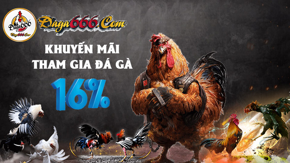 Đá Gà Thomo Là Gì? Lưu Ý Khi Chơi Cá Cược Đá Gà Online Thomo 4 Game đá gà trực tiếp tại st66610