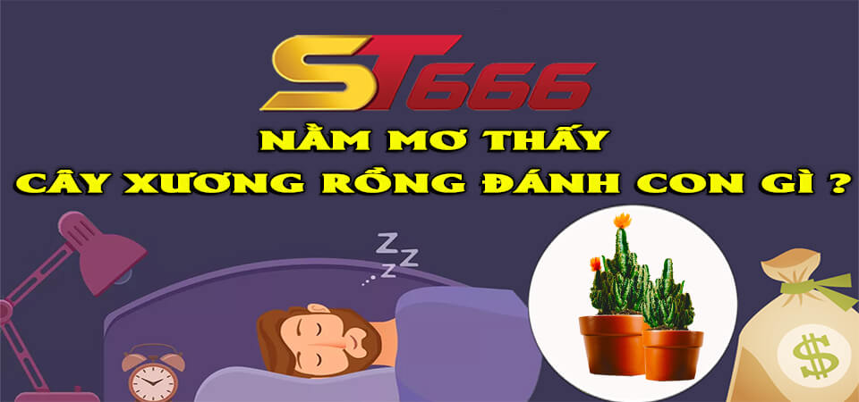 Giải mã giấc mơ thấy cây xương rồng là điềm lành hay dữ