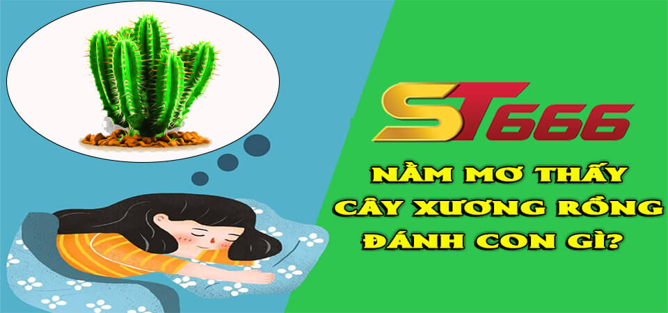 Chiêm bao thấy cây xương rồng nên đánh con gì dễ trúng