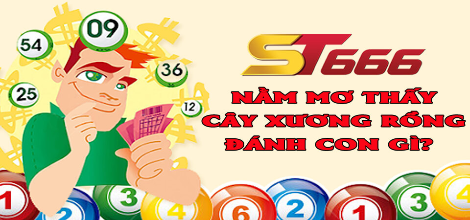 Dấu hiệu nhận biết khi nằm mơ thấy cây xương rồng