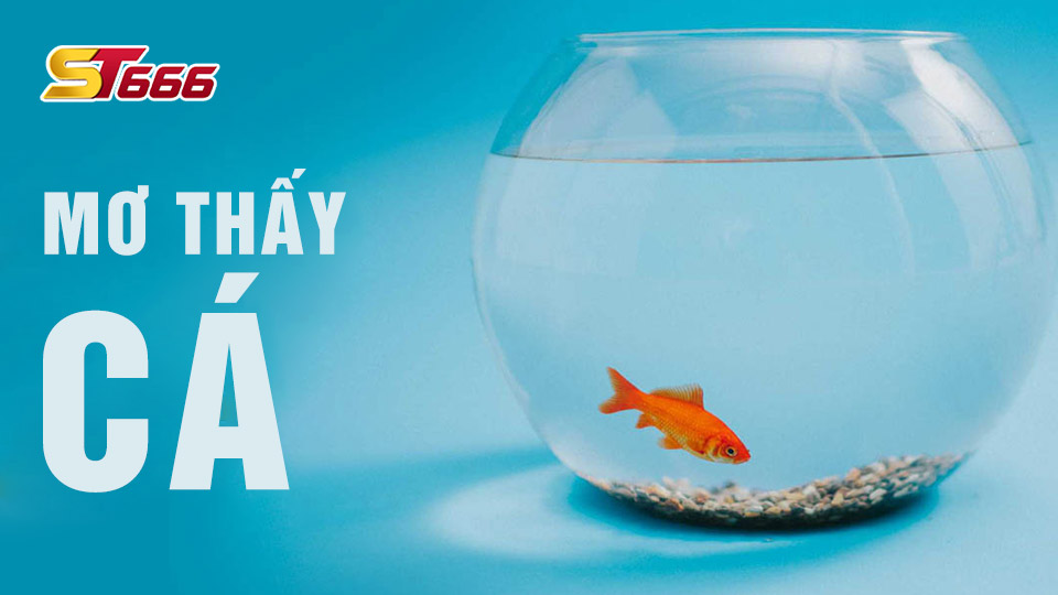 Mơ thấy cá đánh con gì?