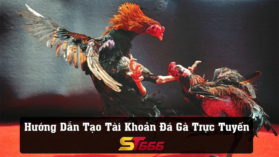 Hướng Dẫn Chi Tiết Tạo Tài Khoản Đá Gà Trực Tuyến ST666