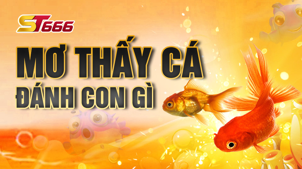 Nằm Mơ Thấy Cá Đánh Con Gì Là Chắc Chắn Thắng?