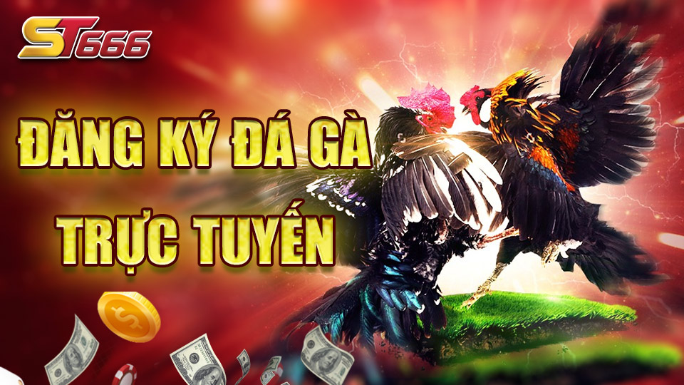Đăng Ký Đá Gà Trực Tuyến Cực Đơn Giản Tại ST666