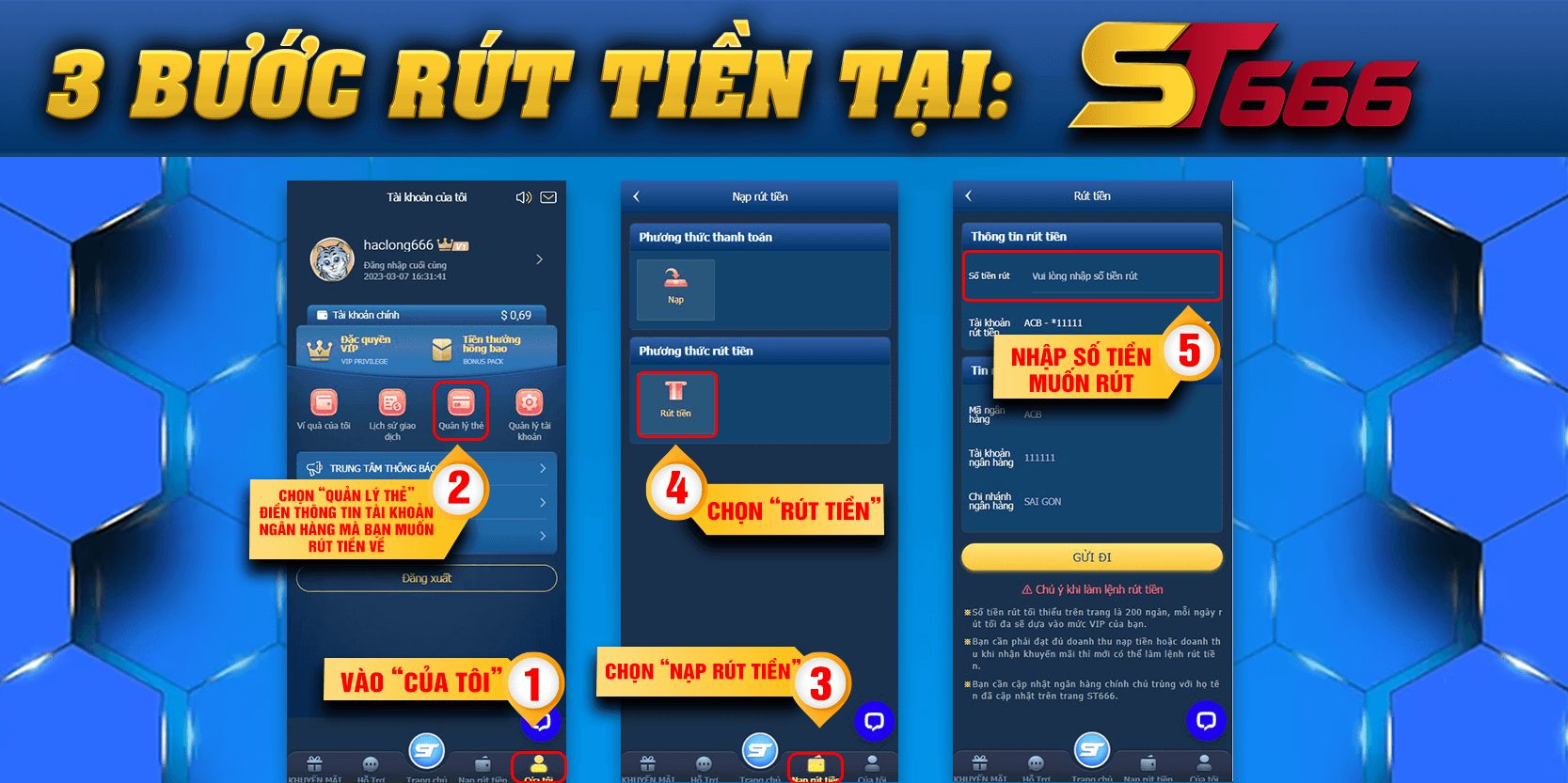 Huong Dan Rut Tien St666