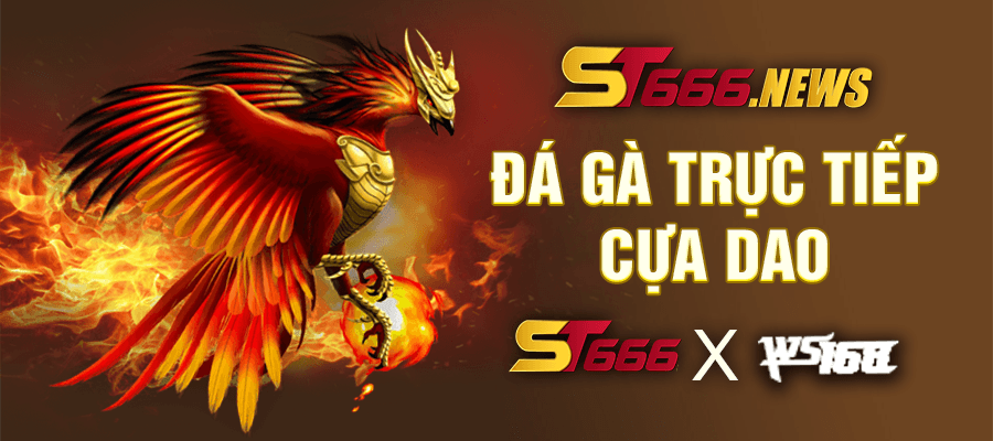Da Ga Truc tiep Cua Dao ST666 x WS168